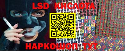 mdpv Бердск
