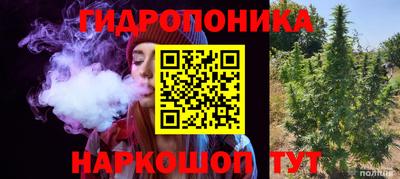 mdpv Бердск