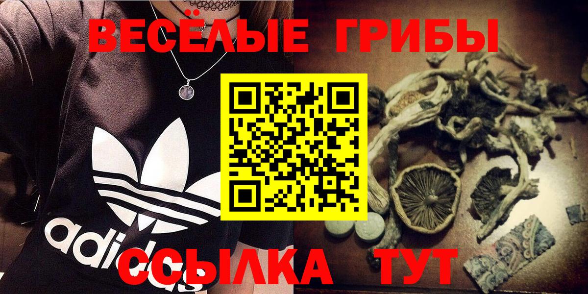 Псилоцибиновые грибы Psilocybine cubensis Гурьевск