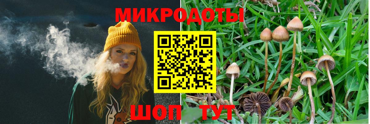 Гурьевск  Галлюциногенные грибы мицелий  Вход с VPN 